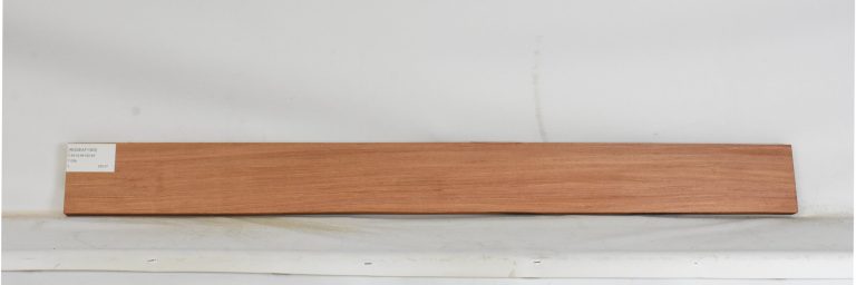 ROSEAF1363_1