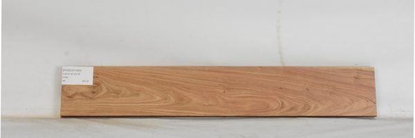 ROSEAF1364_1