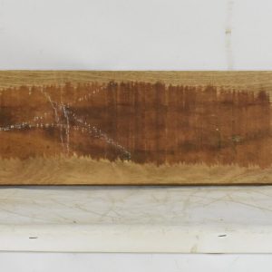 SAPELE1241_1