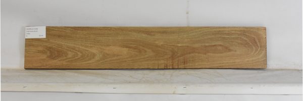 SAPELE1249_1
