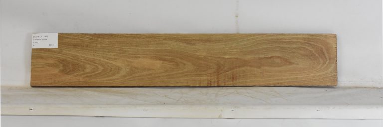 SAPELE1249_1