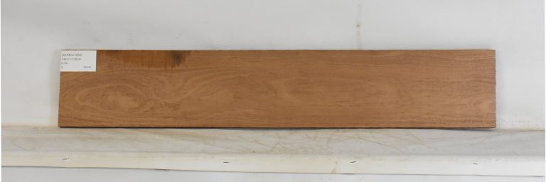 SAPELE1252_1