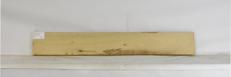 SASSAF1188_1
