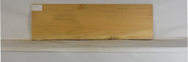 YELLOWWD1083_2