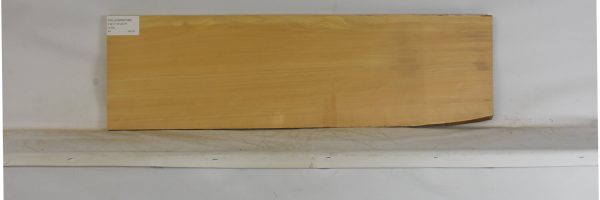 YELLOWWD1086_2