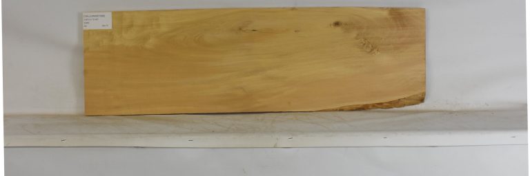 YELLOWWD1088_1
