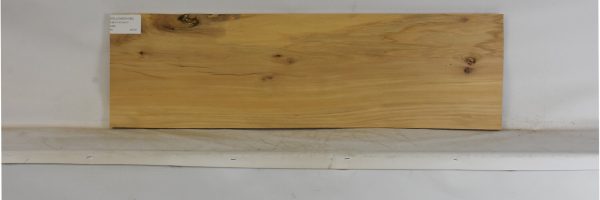 YELLOWWD1089_1