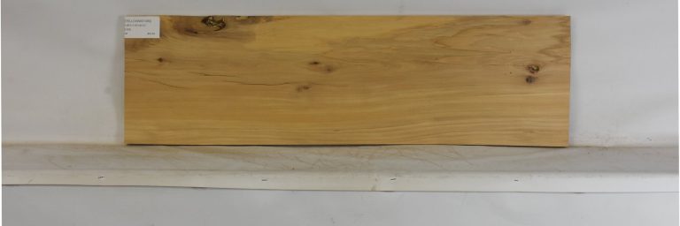 YELLOWWD1089_1