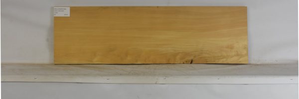 YELLOWWD1090_2
