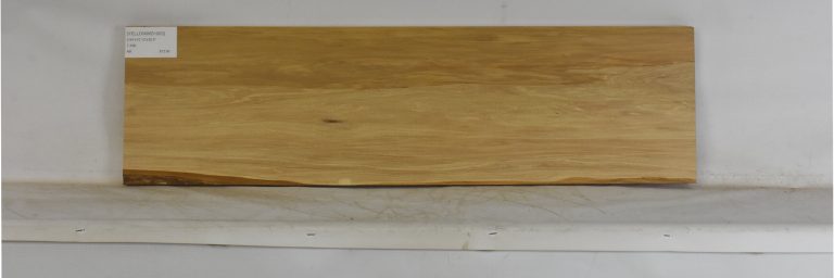 YELLOWWD1093_1