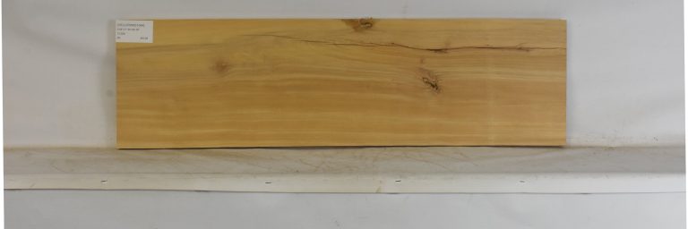 YELLOWWD1094_1