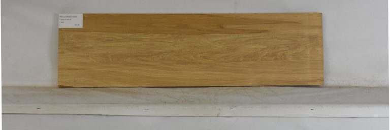 YELLOWWD1095_1