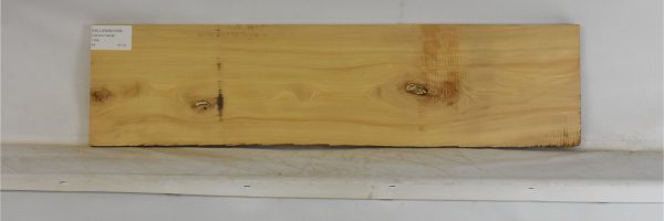 YELLOWWD1098_1
