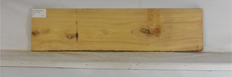 YELLOWWD1098_1