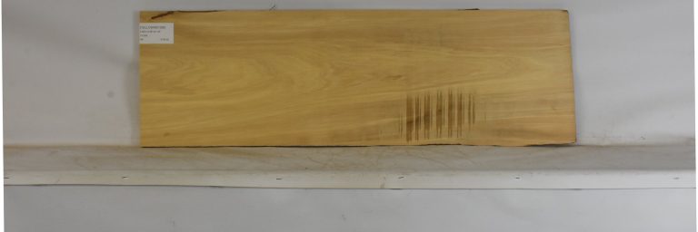 YELLOWWD1099_1