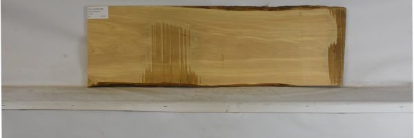 YELLOWWD1099_2