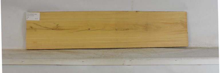 YELLOWWD1100_1