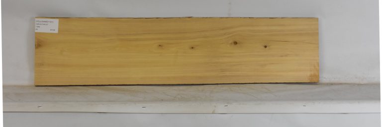 YELLOWWD1101_1