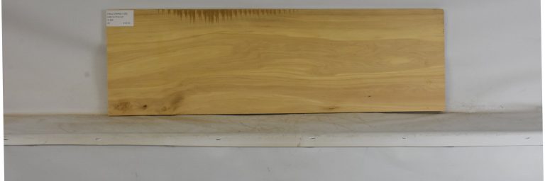 YELLOWWD1102_1