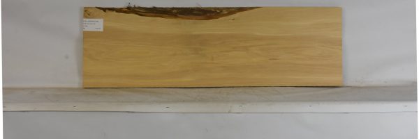 YELLOWWD1102_2