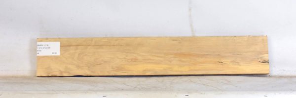 BIRFL1273_2