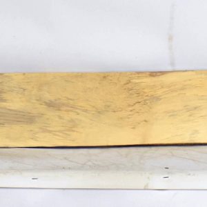 BIRFL1283_1