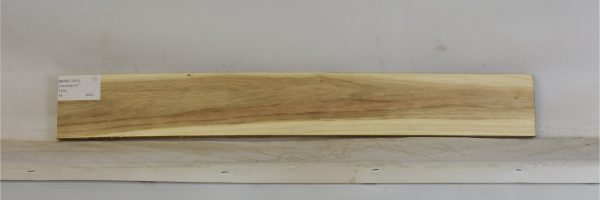 BWAC1331_1
