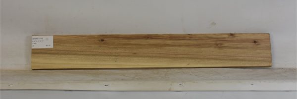 BWAC1333_2