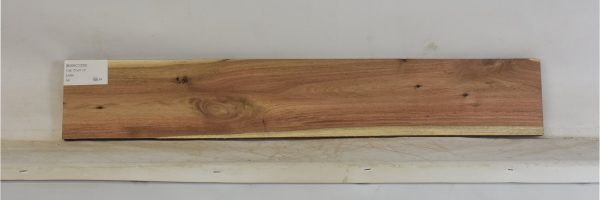 BWAC1335_1