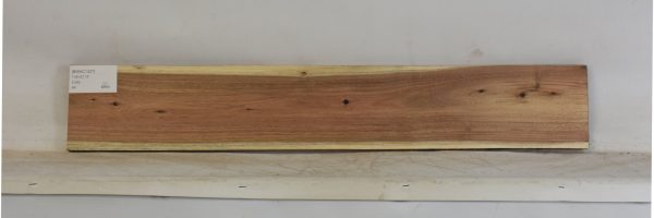 BWAC1337_2