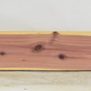 CEDARARO1208_1
