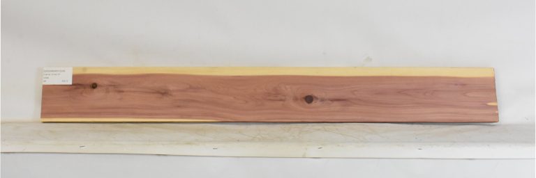 CEDARARO1224_1