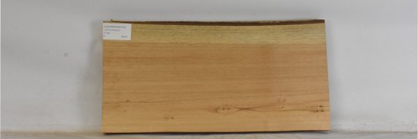 CEDARSPAN1210_1