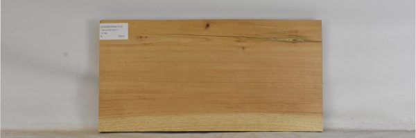 CEDARSPAN1210_2
