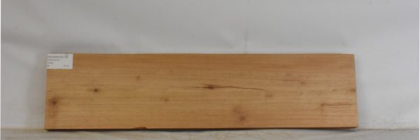CEDARSPAN1216_2