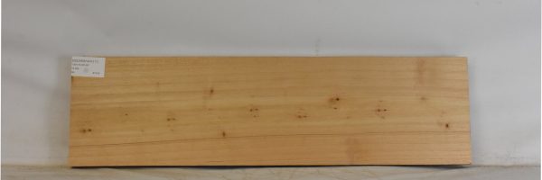 CEDARSPAN1217_2