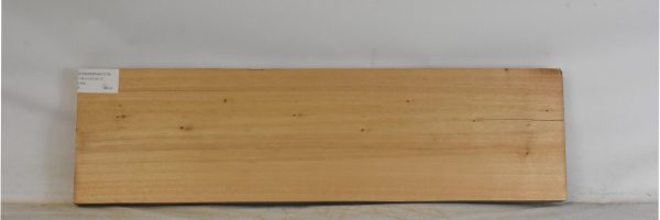 CEDARSPAN1218_2