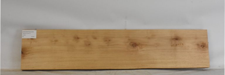 CEDARSPAN1219_1