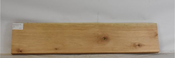 CEDARSPAN1219_2