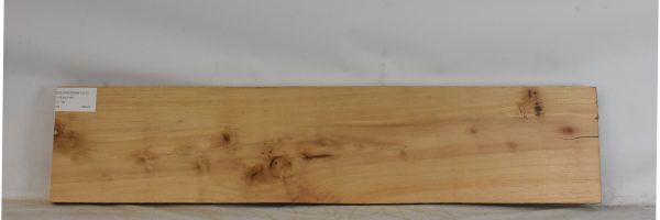 CEDARSPAN1221_1