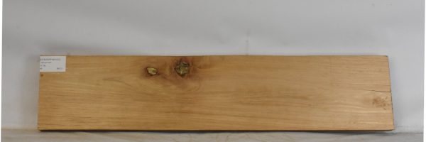 CEDARSPAN1221_2