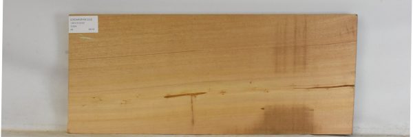 CEDARSPAN1222_2