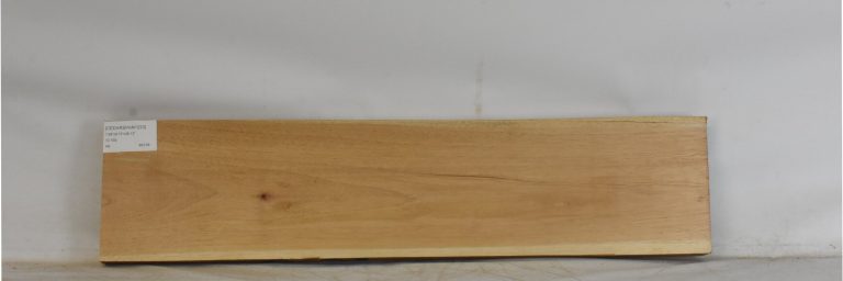CEDARSPAN1223_1