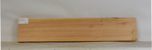 CEDJ1322_1