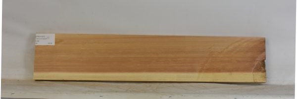 CEDJ1327_1