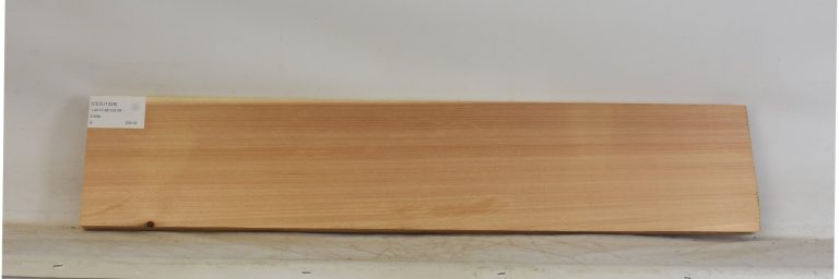 CEDJ1328_1