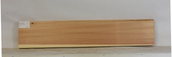 CEDJ1328_2