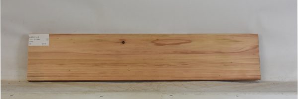 CEDJ1333_2