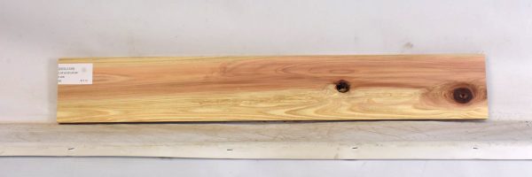 CEDJ1339_1