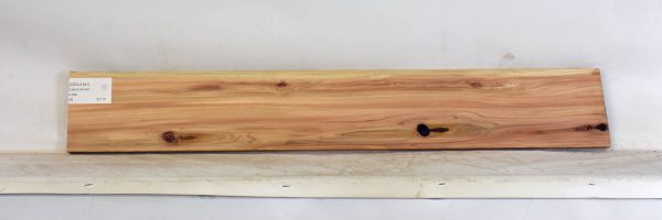 CEDJ1341_1